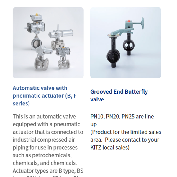 KITZ日本開滋閥門、10K電動蝶閥EXS100-10DJUE-200A