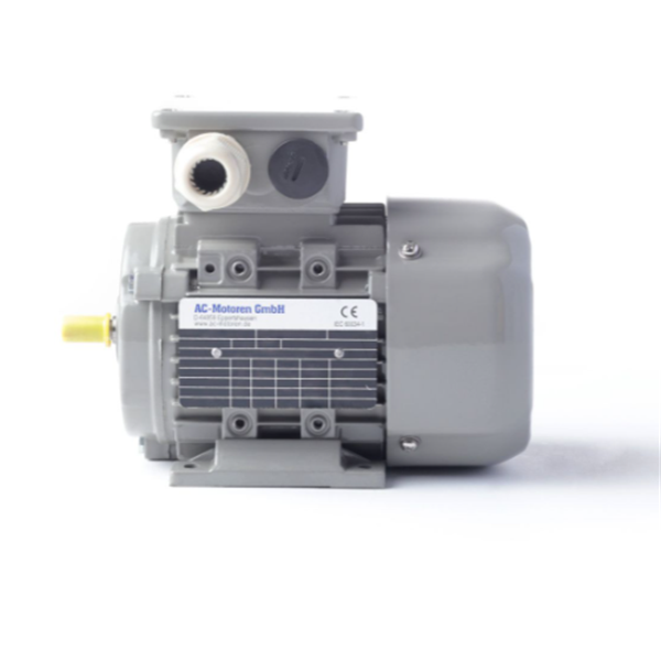 德國AC MOTOREN三相異步雙速電機AC07A4800001