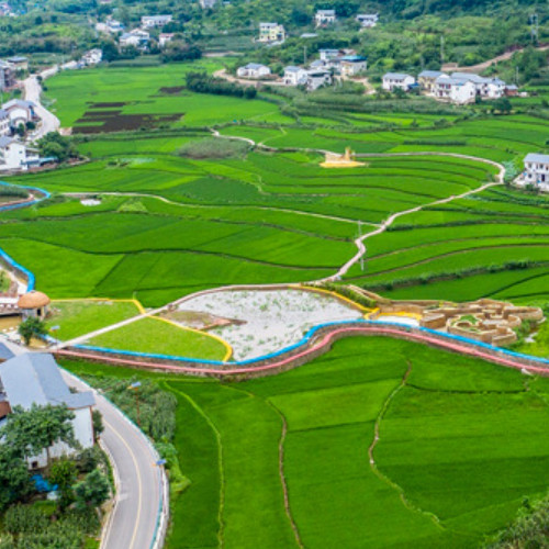 中農(nóng)發(fā)種業(yè)集團(tuán)股份有限公司.jpg 中農(nóng)發(fā)種業(yè)集團(tuán)股份有限公司.jpg